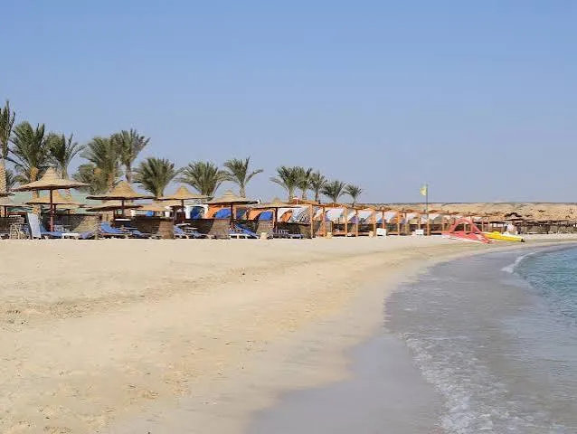 Excursion de plongée avec tuba à Abu Dabbab, Marsa Alam, photo 4