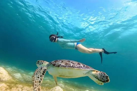 Excursion de plongée avec tuba à Abu Dabbab, Marsa Alam, photo 1