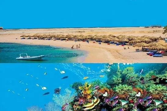 Snorkeling à Sharm el Naga, photo 4