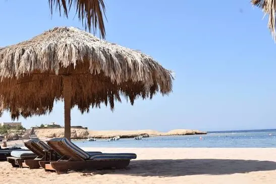 Snorkeling à Sharm el Naga, photo 3